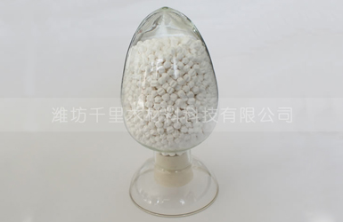 氧化铝载体